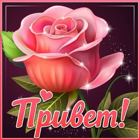 Picture прелестная картинка привет