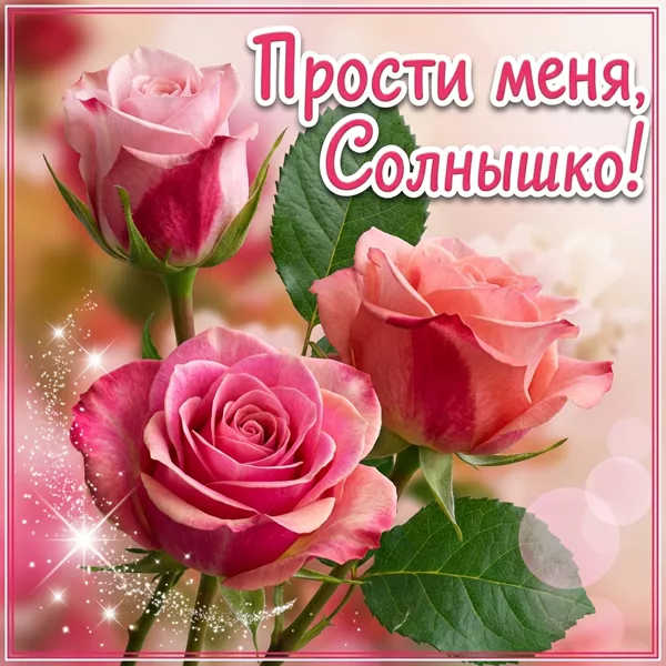 Postcard чудесная картинка прости меня солнышко