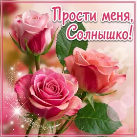Postcard чудесная картинка прости меня солнышко