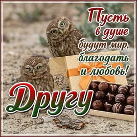 Postcard чудесная открытка другу
