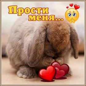 Postcard чудесная открытка прости меня