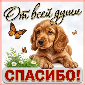 Picture милая картинка от всей души спасибо