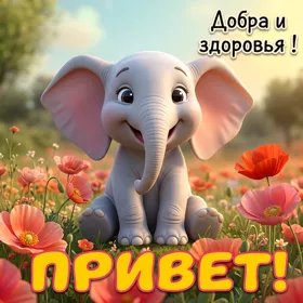 Picture смешная картинка привет
