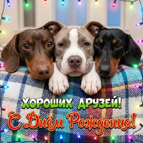 Picture смешная открытка хороших друзей