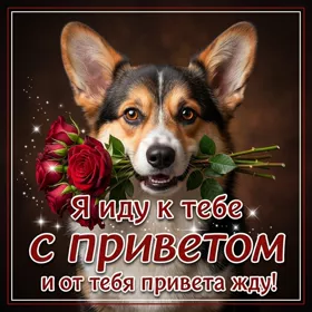 Postcard чудесная открытка я иду к тебе с приветом