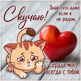 Picture милая картинка скучаю