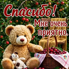 Picture яркая картинка мне очень приятно