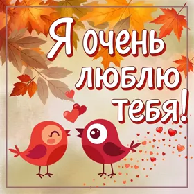 Postcard очаровательная картинка я очень люблю тебя