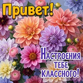 Postcard яркая картинка привет