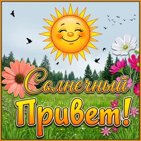 Picture яркая открытка солнечный привет