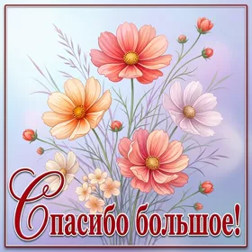 Postcard чудесная картинка спасибо большое