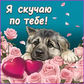 Picture очаровательная открытка я скучаю по тебе