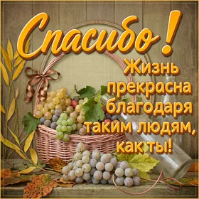 Postcard очаровательная картинка спасибо