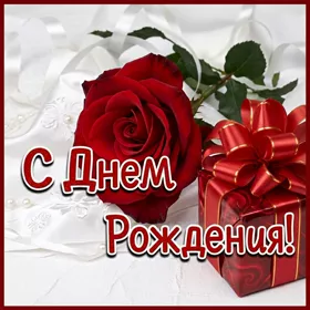 Postcard яркая открытка с днем рождения