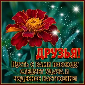 Picture чудесная картинка пусть с вами повсюду сделует удача
