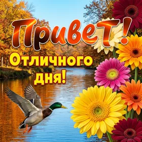 Postcard яркая картинка отличного дня