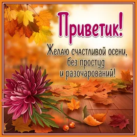 Picture яркая картинка желаю счастливой осени