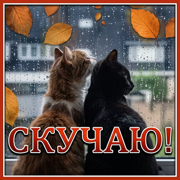 Picture очаровательная картинка скучаю