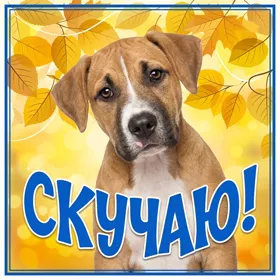 Postcard сказочная открытка скучаю