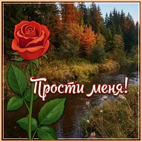 Picture волшебная картинка прости меня