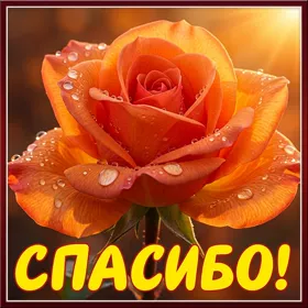 Picture очаровательная картинка спасибо