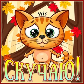 Picture чудесная картинка скучаю