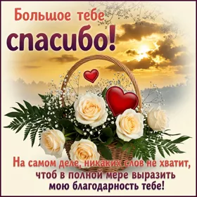 Postcard классная картинка большое спасибо