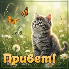 Postcard сказочная открытка привет