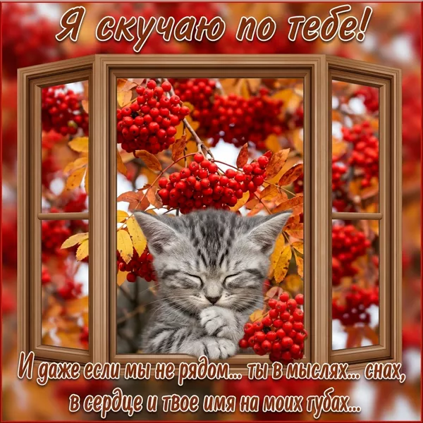 Picture милая картинка я скучаю по тебе