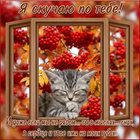 Picture милая картинка я скучаю по тебе