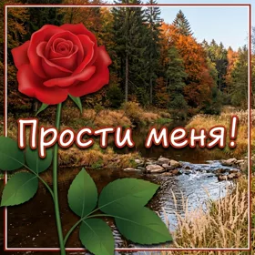 Postcard милая открытка прости меня