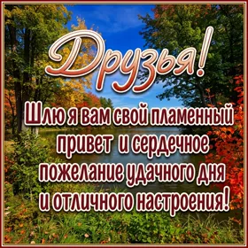 Postcard яркая картинка друзья