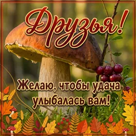 Picture чудная картинка желаю чтобы удача улыбалась вам
