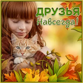 Postcard очаровательная открытка друзья навсегда