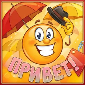 Picture смешная октрытка привет