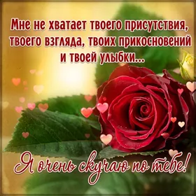 Picture чудная открытка я очень скучаю по тебе