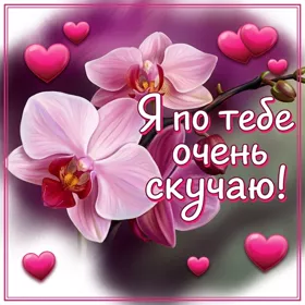 Postcard яркая картинка я по тебе очень скучаю