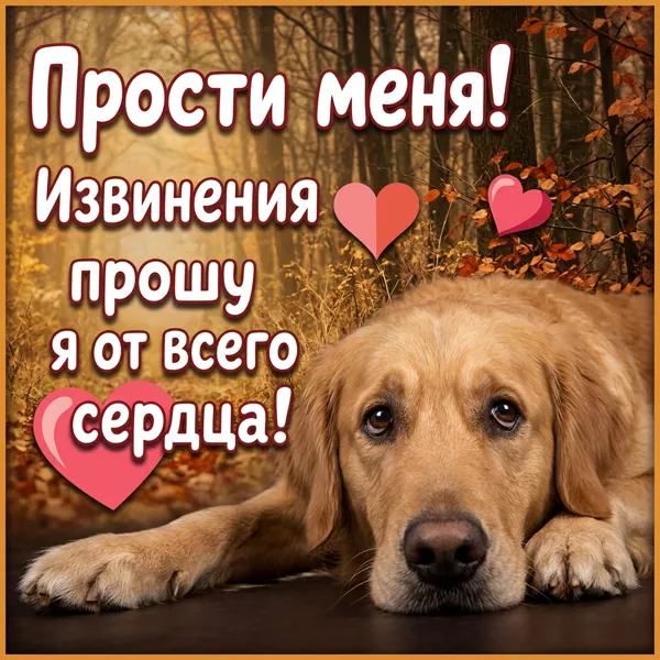 Postcard милая открытка прости меня