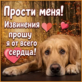Postcard милая открытка прости меня