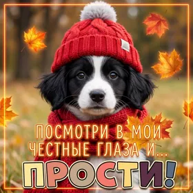 Postcard чудная открытка посмотри в мои честные глаза и прости