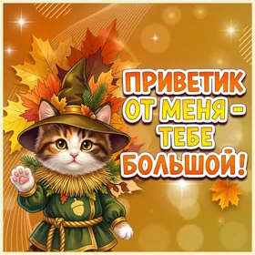 Picture очаровательная октрытка приветик