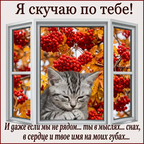 Picture милая открытка я скучаю по тебе