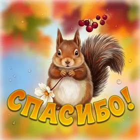 Picture очаровательная картинка спасибо