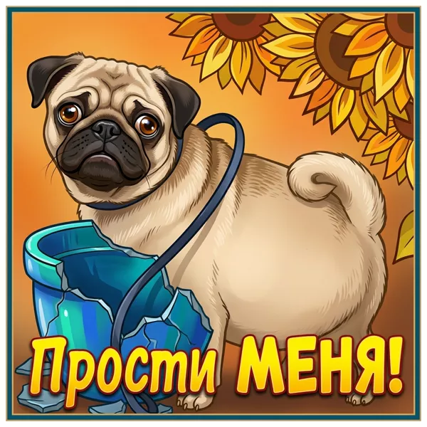 Postcard смешная открытка прости меня
