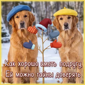 Postcard беззаветная картинка как хорошо иметь подругу