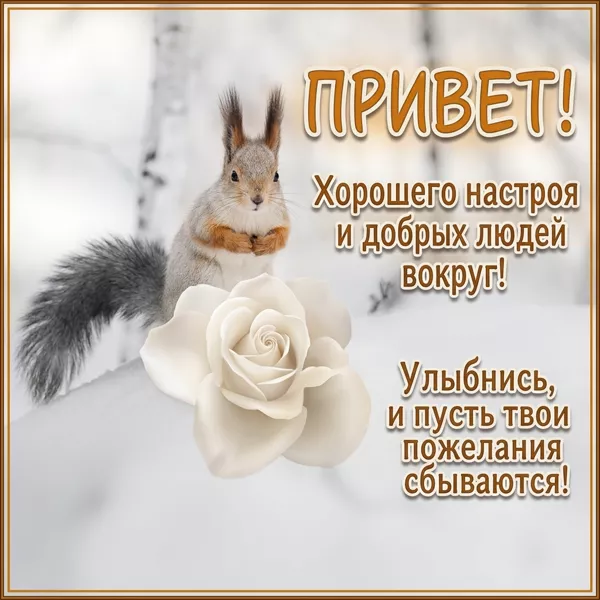 Postcard расслабляющая открытка привет