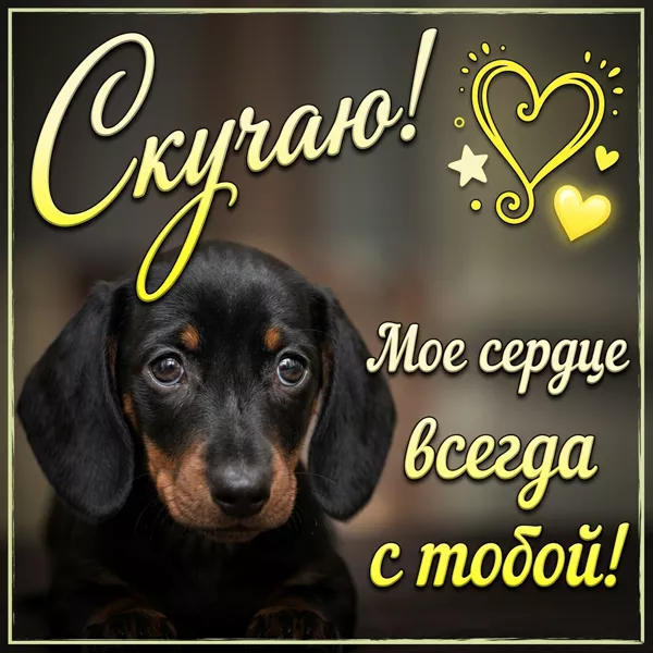 Picture магическая открытка скучаю