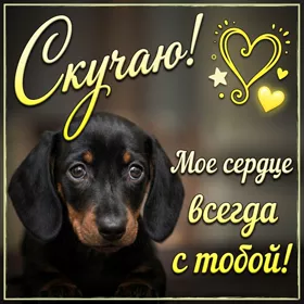 Picture магическая открытка скучаю