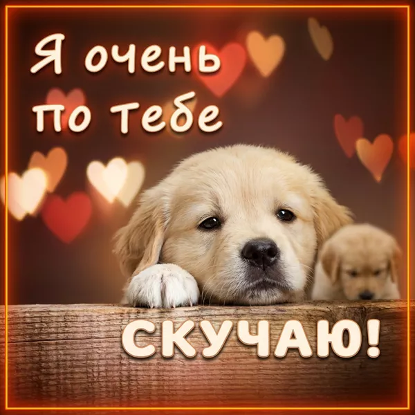 Postcard чувственная открытка я очень по тебе скучаю