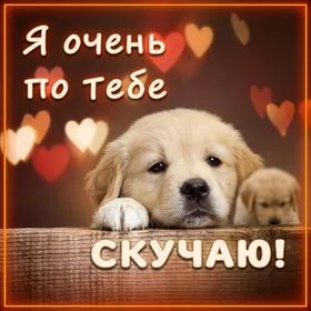 Postcard чувственная открытка я очень по тебе скучаю